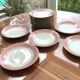 Set of 12 flat plates porcelain from Limoges