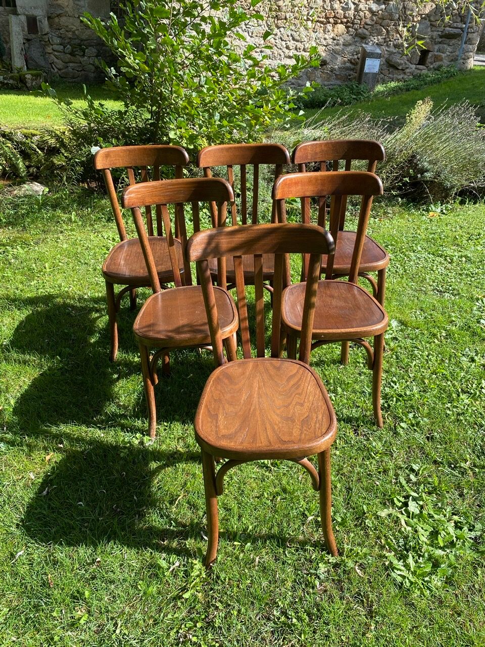 Set of 6 chairs bistro Fischel early XX century