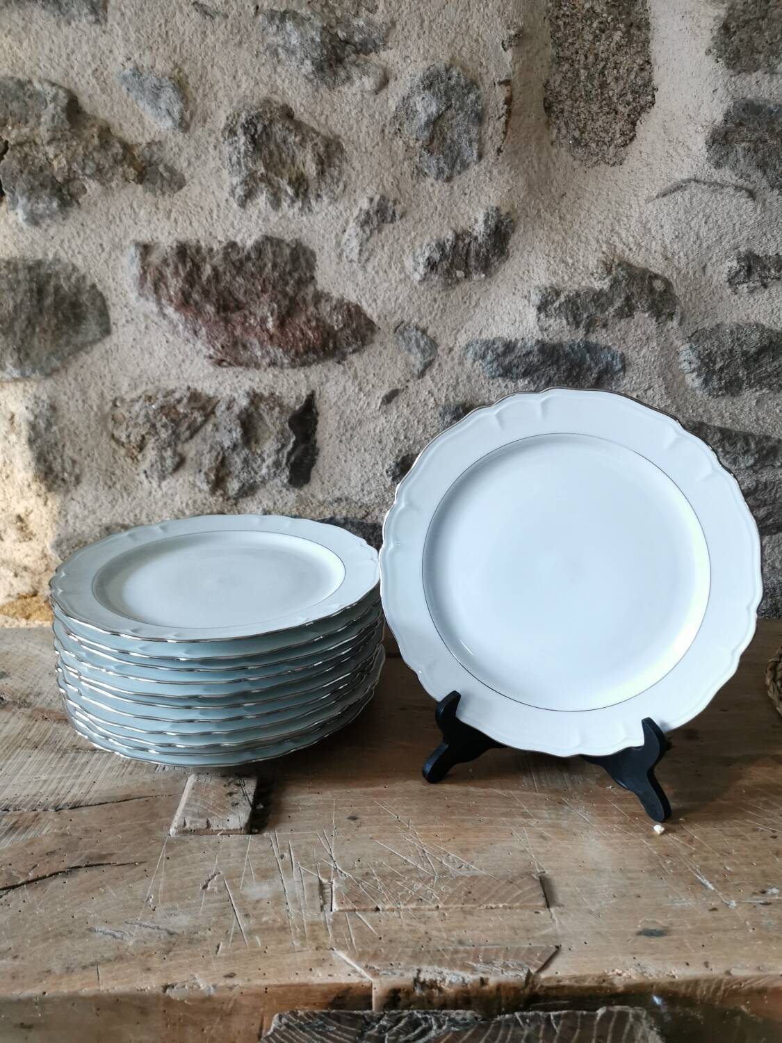 6 Limoges porcelain dinner plates