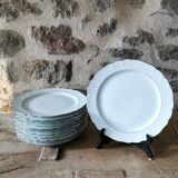 6 Limoges porcelain dinner plates