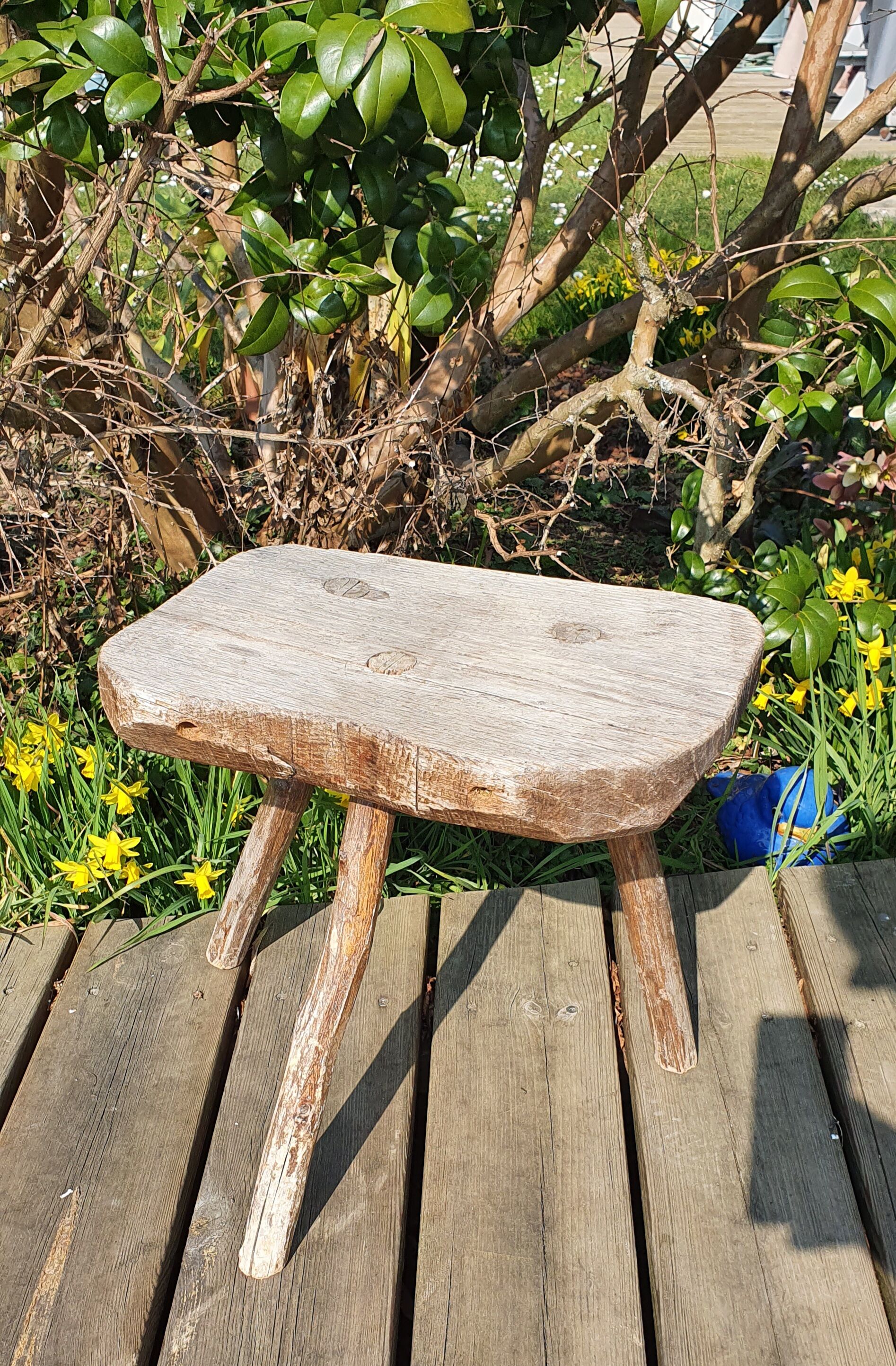 Milking stool