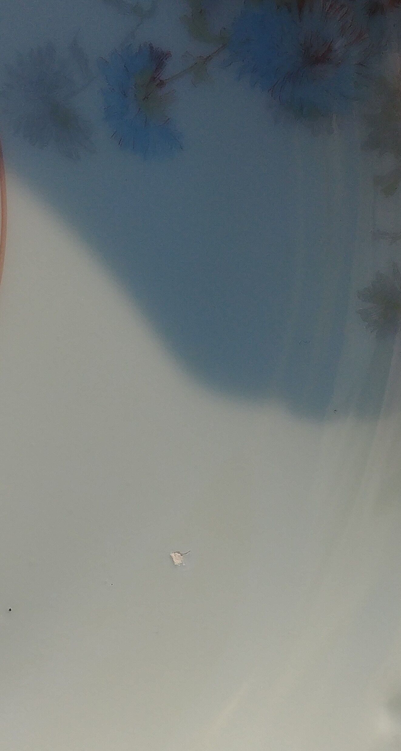 Set of four hollow Limoges porcelain plates signed Robert Haviland & Le Tanneur