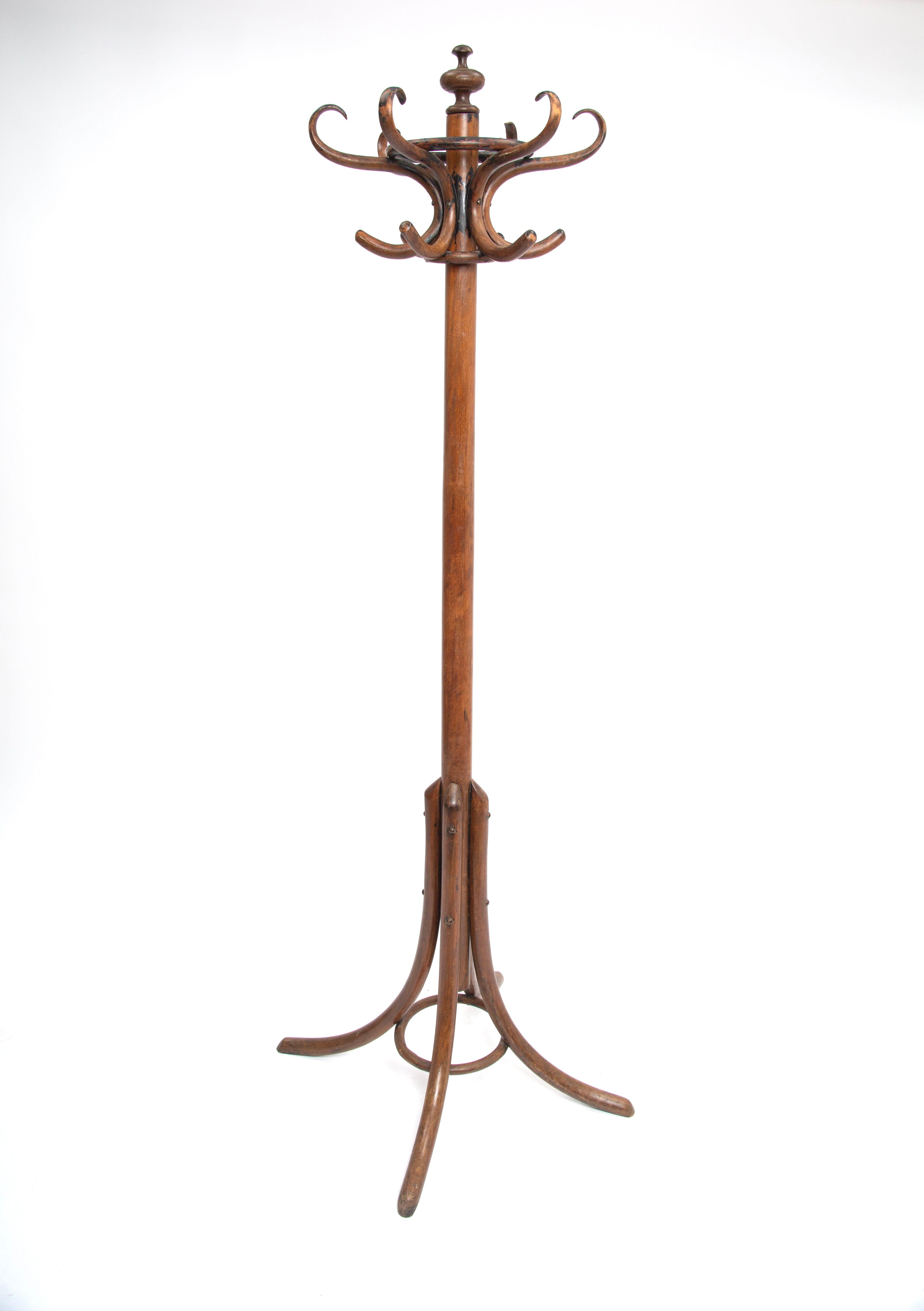 Coat rack parrot curved wood 1900