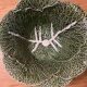 Cabbage salad bowl