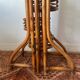 Rattan plant stand screen