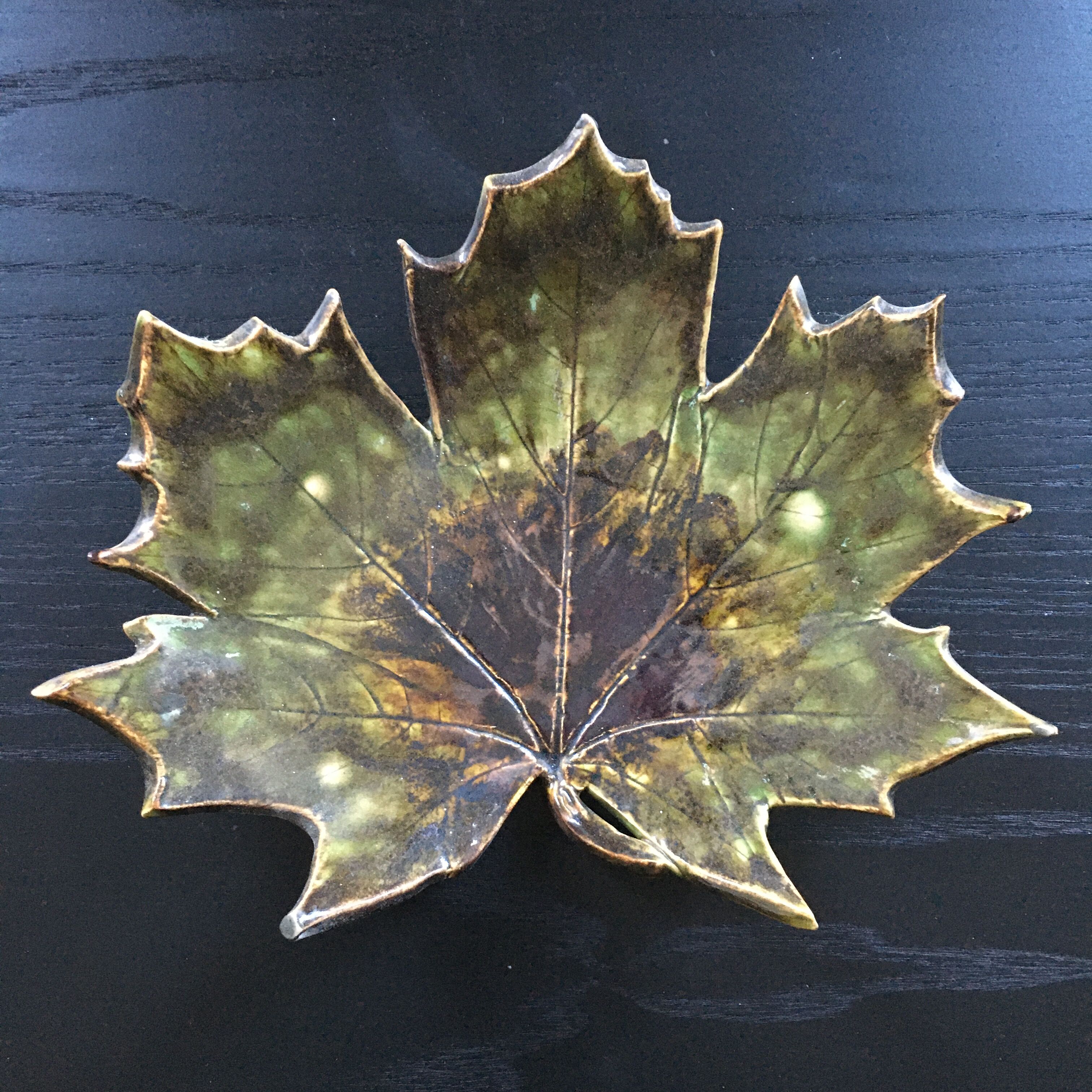 Empty pocket plane leaf