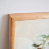 Vintage bird illustration