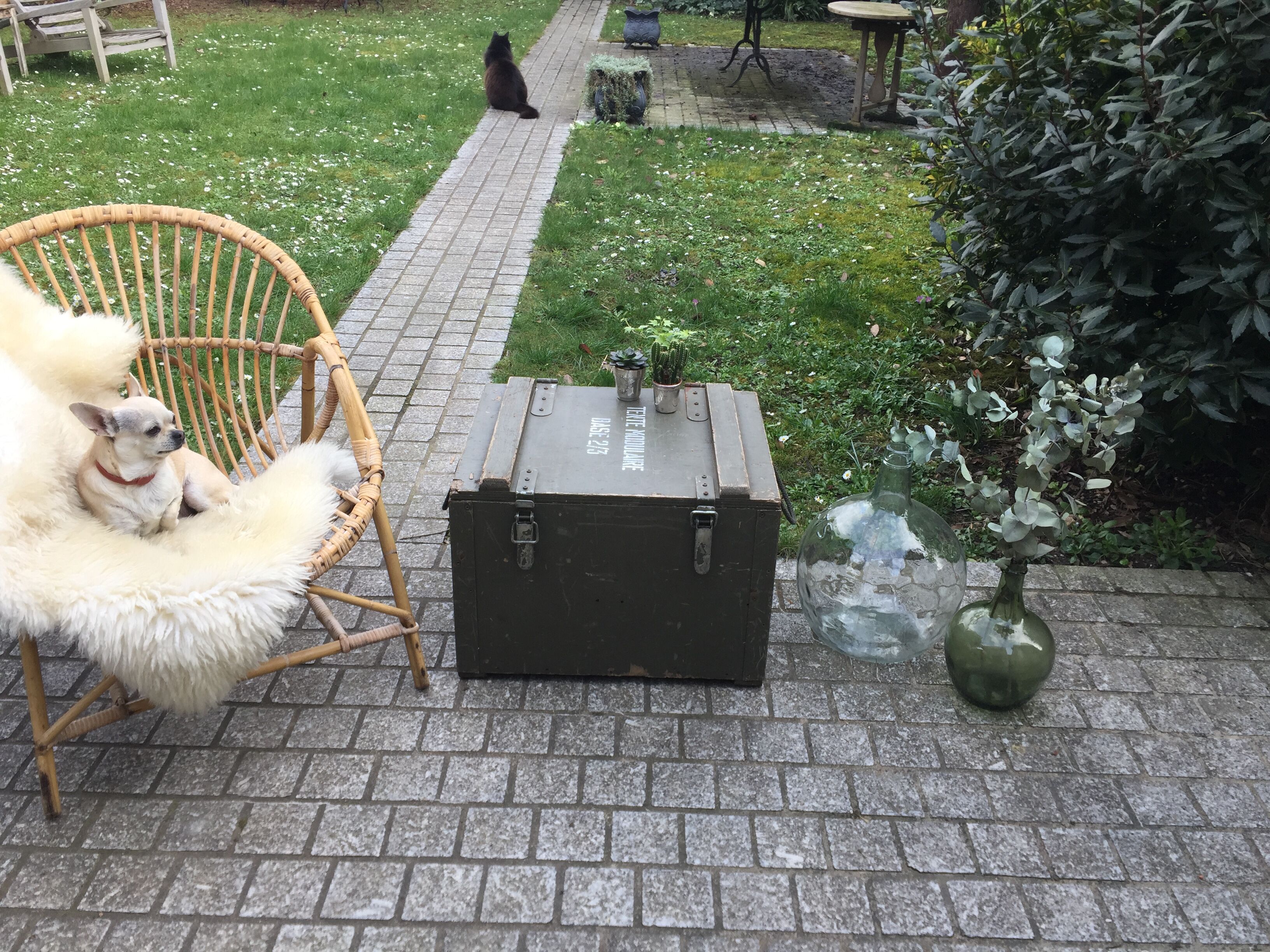 Old trunk or military chest