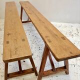 Pair of benches