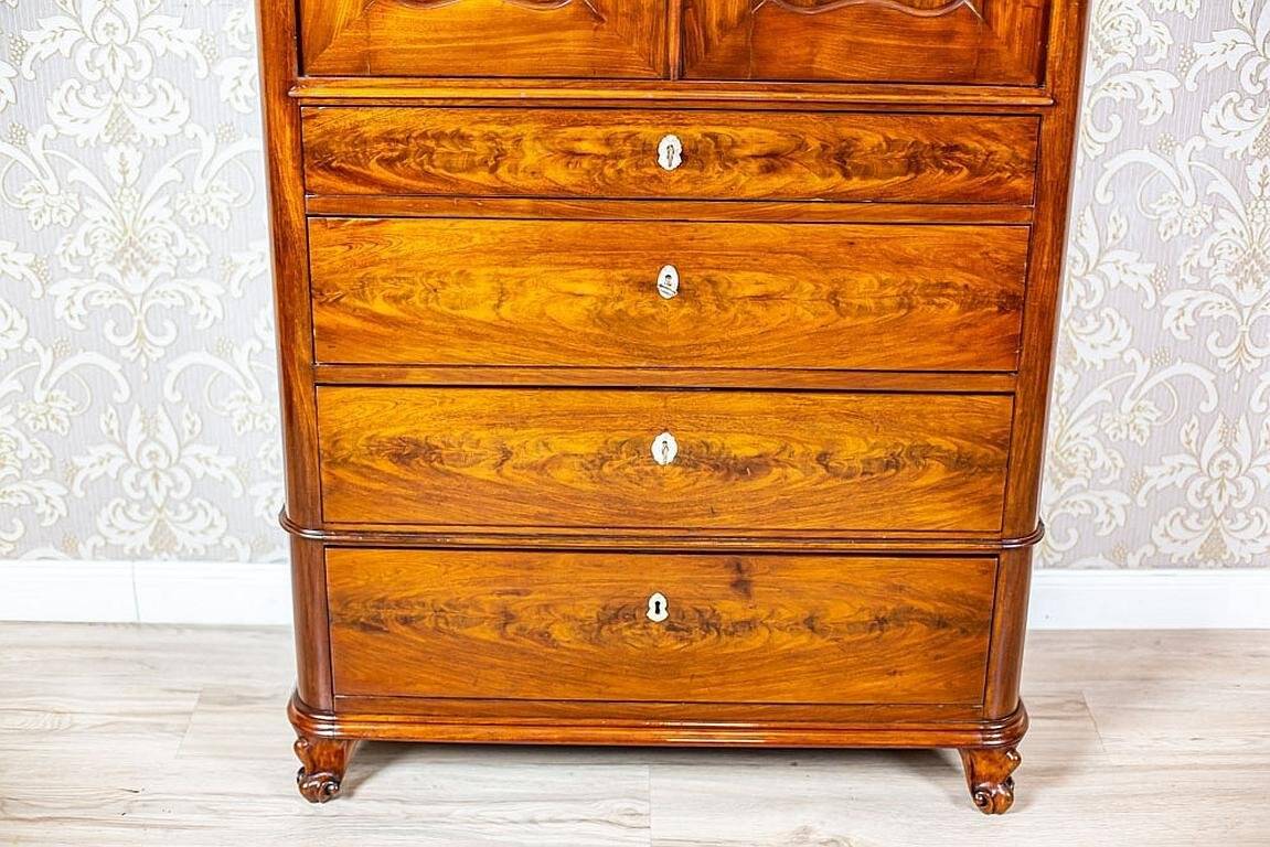 Antique Danish Walnut Cabinet, 1890s