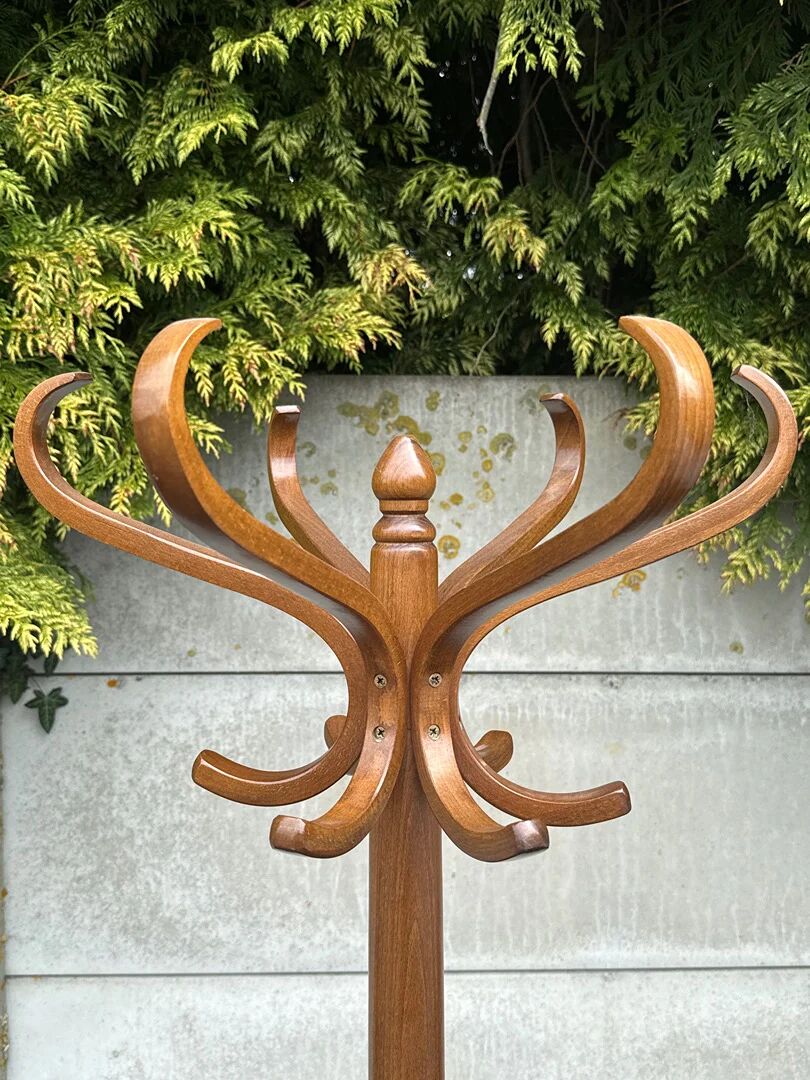 Coat rack – Baumann – Storage – Vintage curved wood Parrot