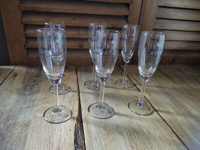 Gaussard champagne flute glasses set of 6