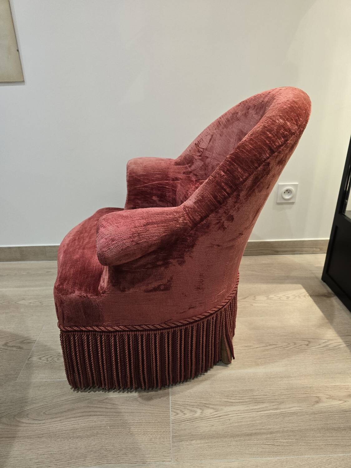 Burgundy velvet toad