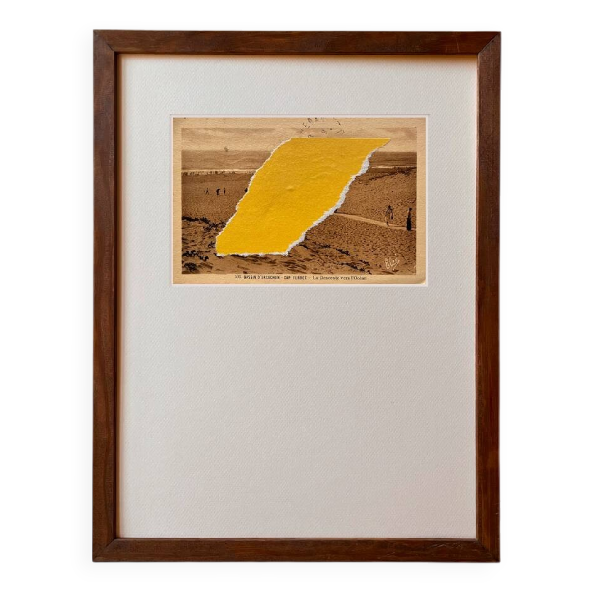 The Ferret - Collage