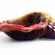 Mid-Century Vallauris “Sea Shell” Vide-Poche / Catchall, France, 1950s