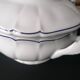 Soup limoges porcelain old great fire