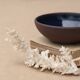 Natural white coral, 70s