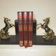 Greenhouse old marble books and metal horses