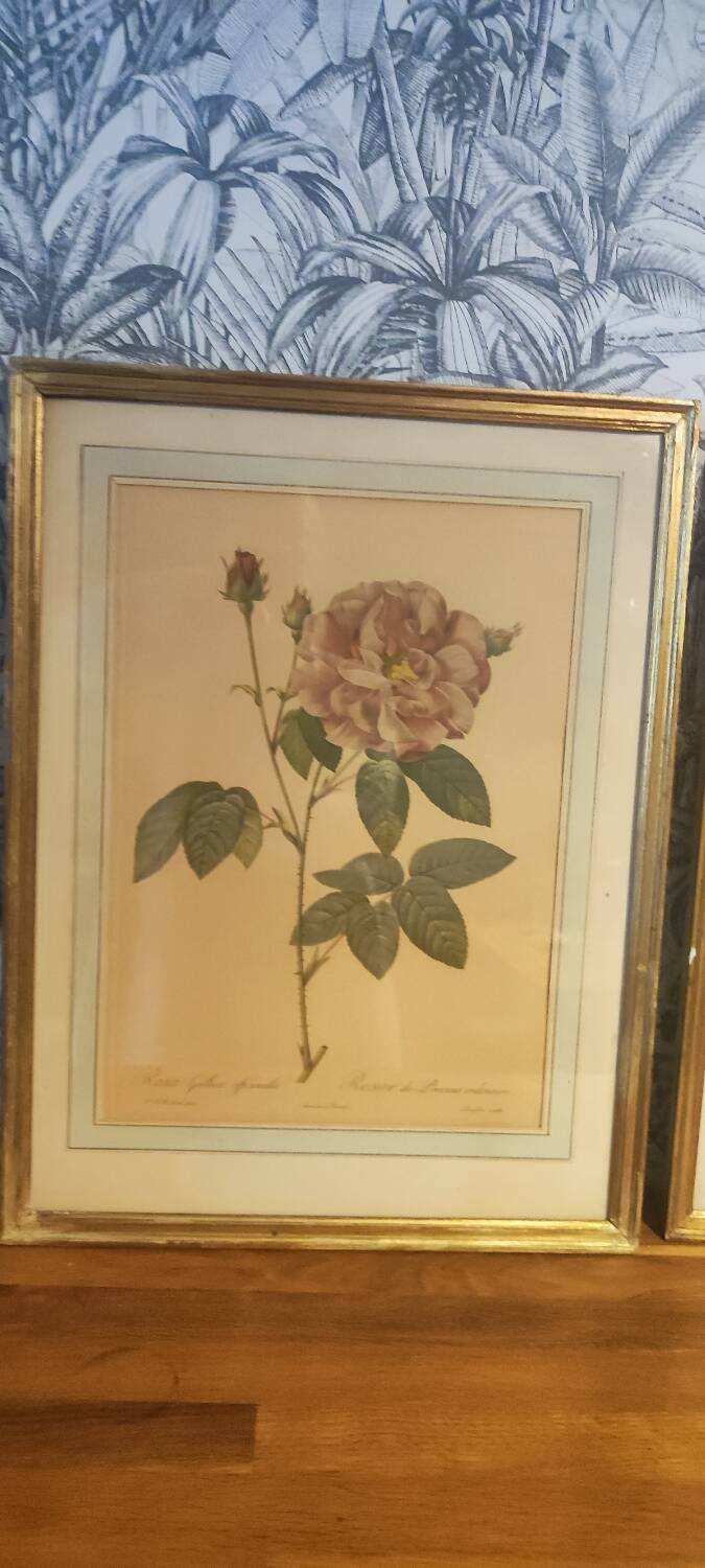 Redouté executive trio