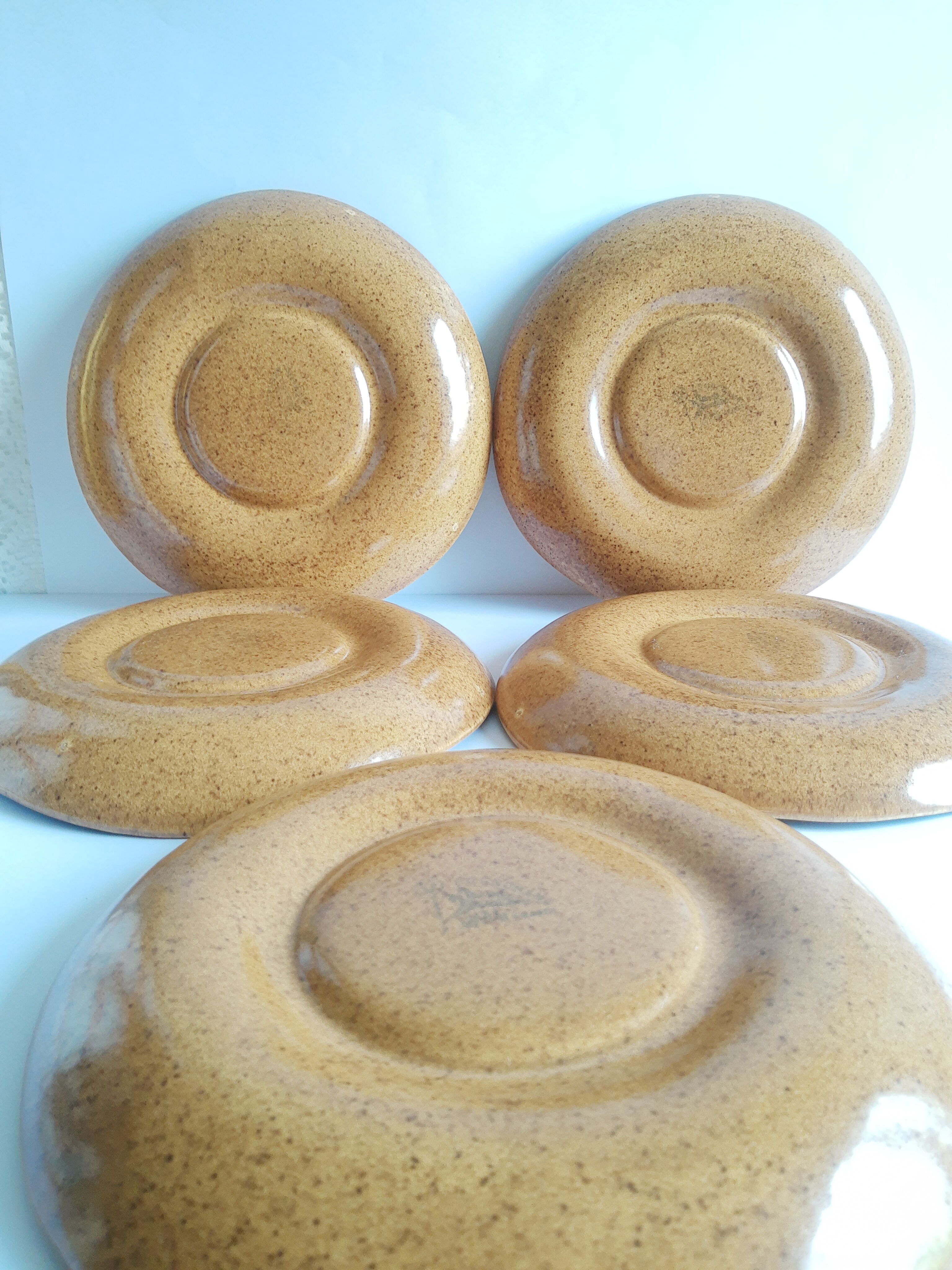 Set of 5 plates with compartments in vintage Longchamp sandstone
