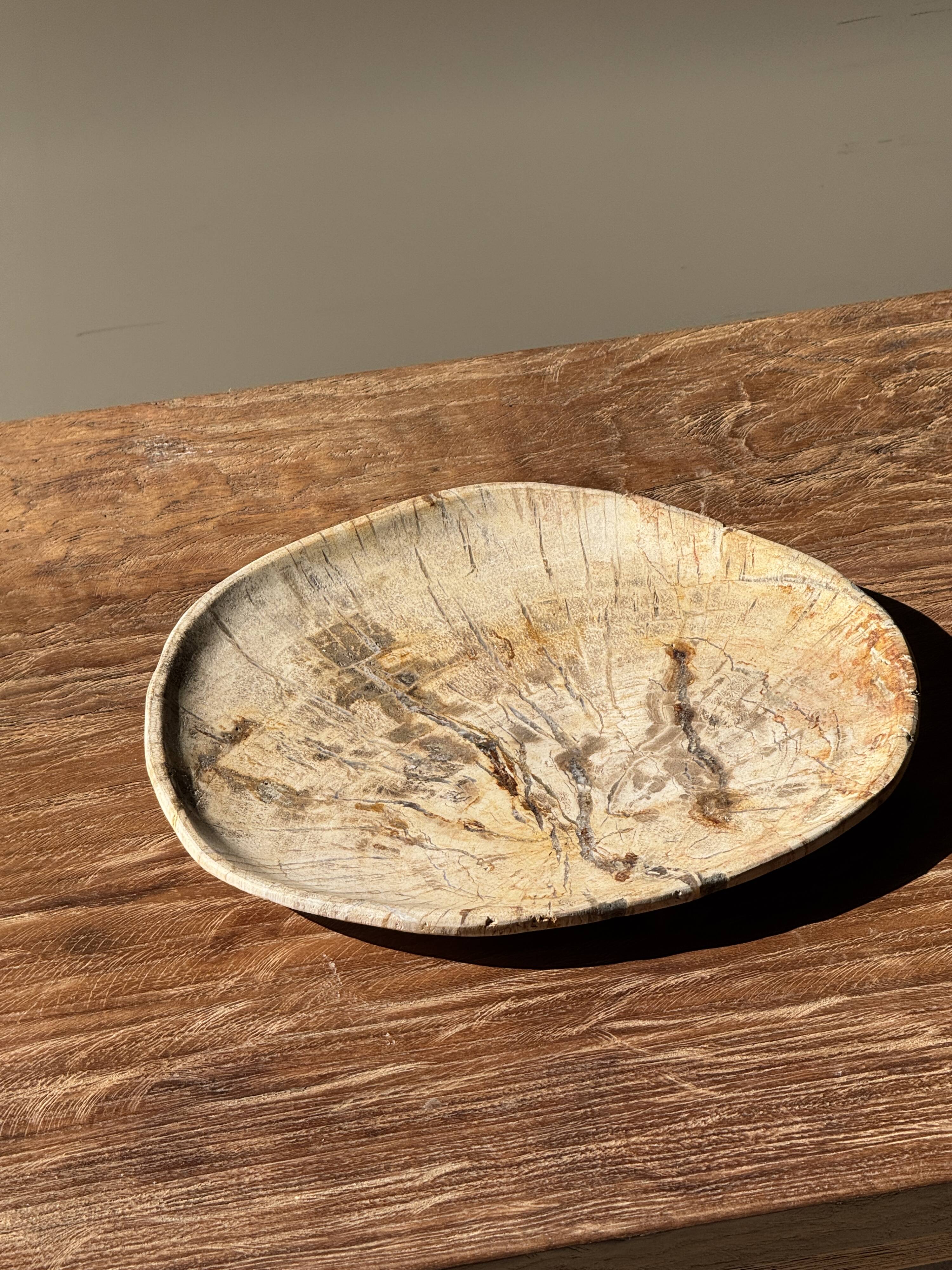 Small beige oval petrified wood dish or tray with crystals.