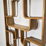 Room Divider by Ludvik Volak for Drevopodnik Holesov, 1950s