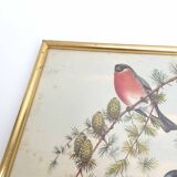 Golden frame illustration nest couple of birds