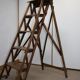 Old library stepladder (vintage of the 50s/60s