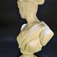 Terracotta bust of Artemis