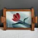 Janette tray