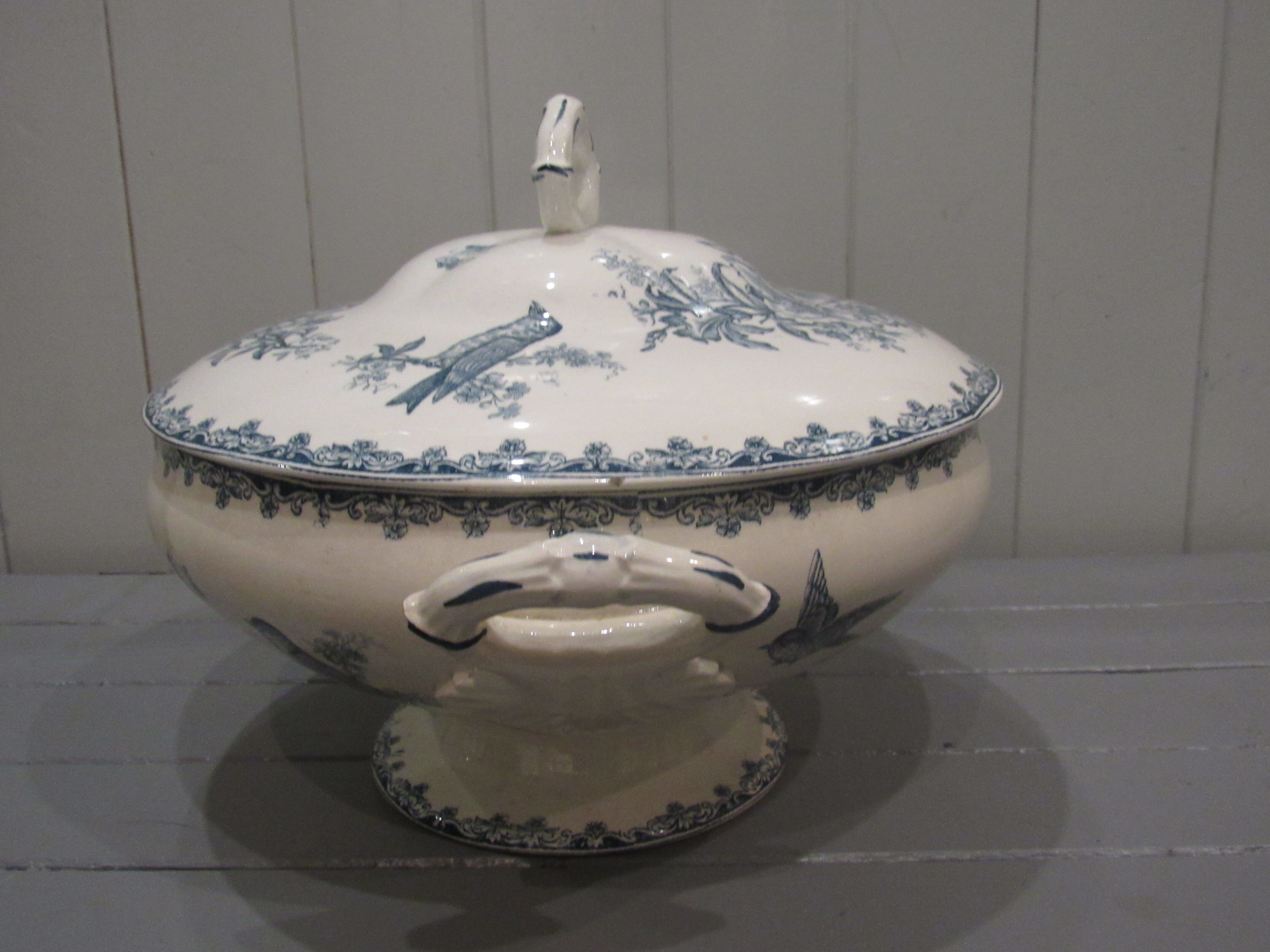 Tierra del Fuego Bengali model