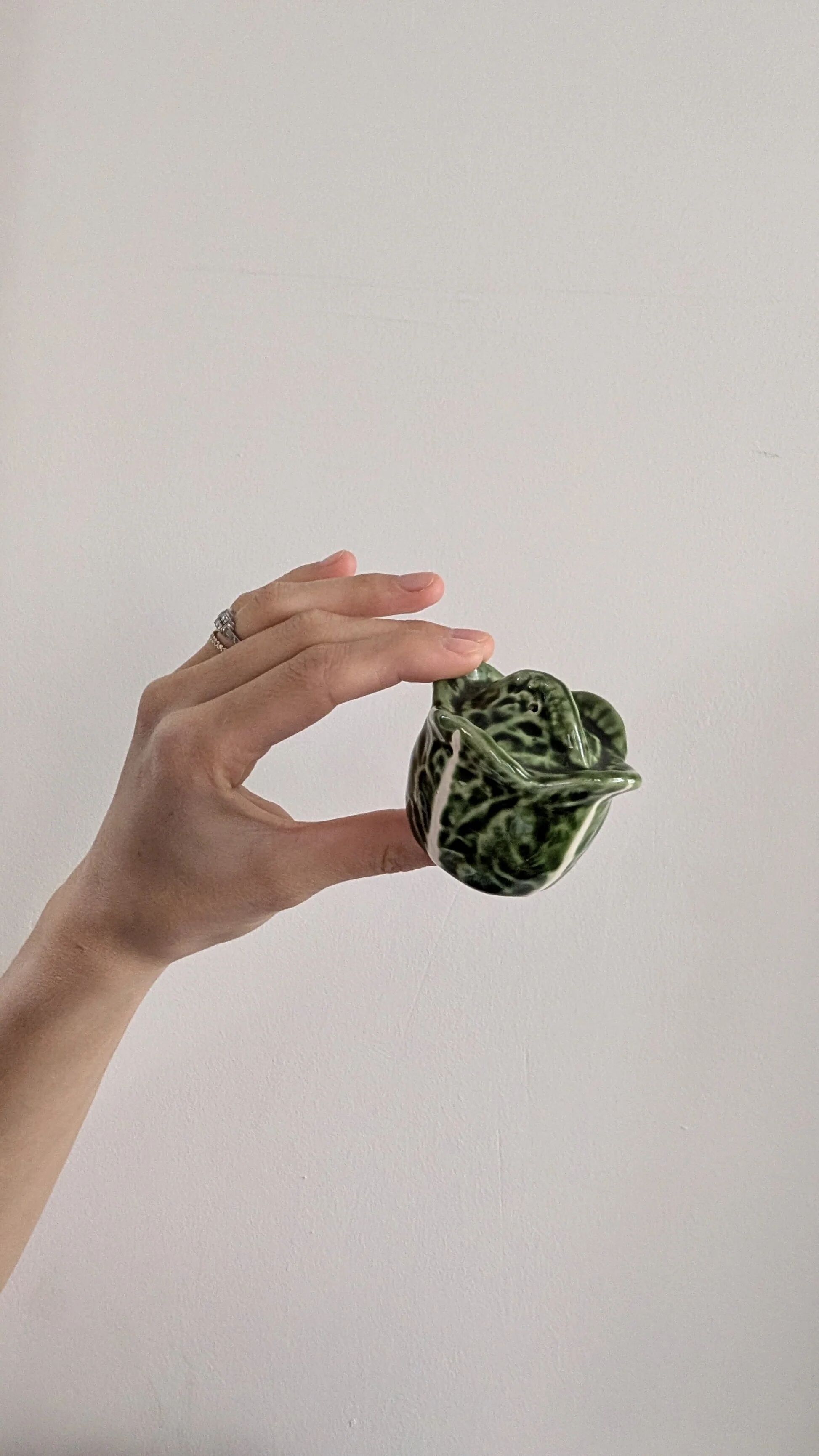 Cabbage-shaped salt shaker