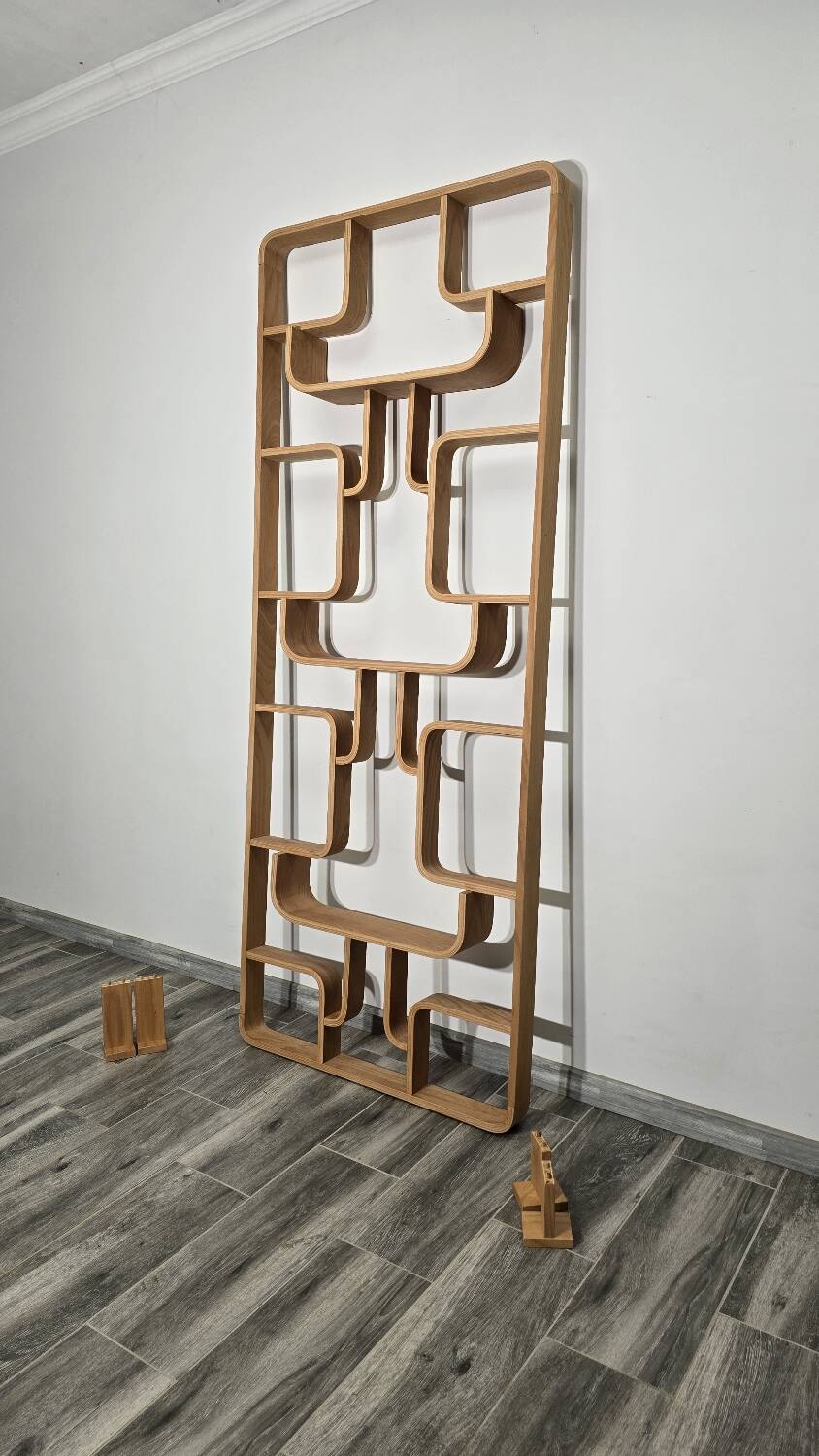 Room Divider by Ludvik Volak for Drevopodnik Holesov, 1950s