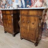 Rare pair of Italian display furniture from the Charles X period in mahogany.