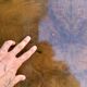 Elm burl coffee table and brass 70s Roche Bobois