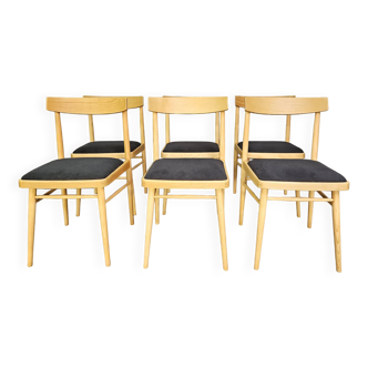Ensemble de 6 chaises à repas en frêne par Ton, Tchécoslovaquie, 1960