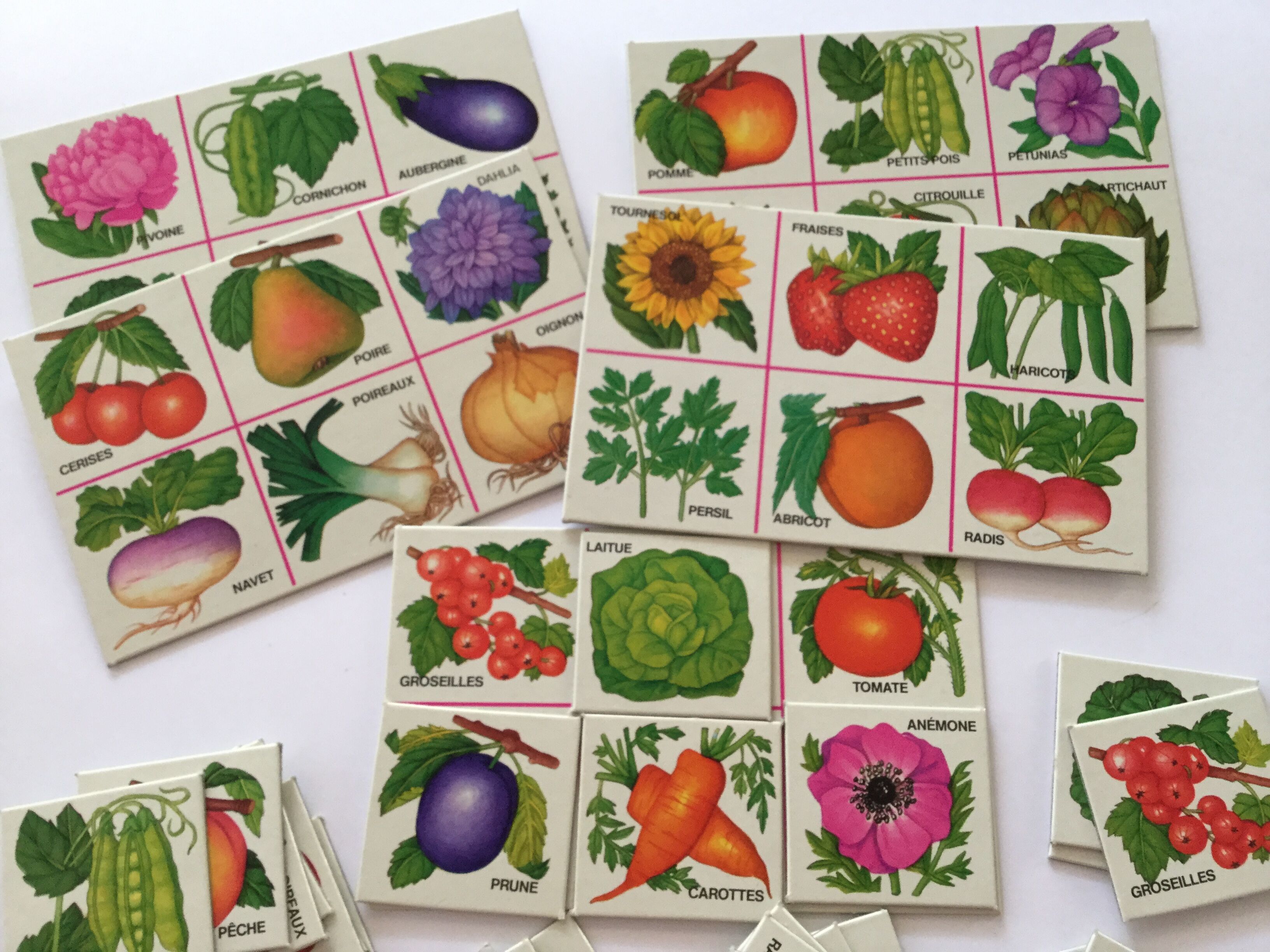 Lotto In the garden - card game