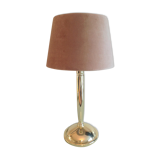 Golden metal lamp and lampshade fishing skin / vintage 70s-80s