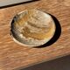 Ashtray, circular dish or plate in grey-orange petrified wood D25.5