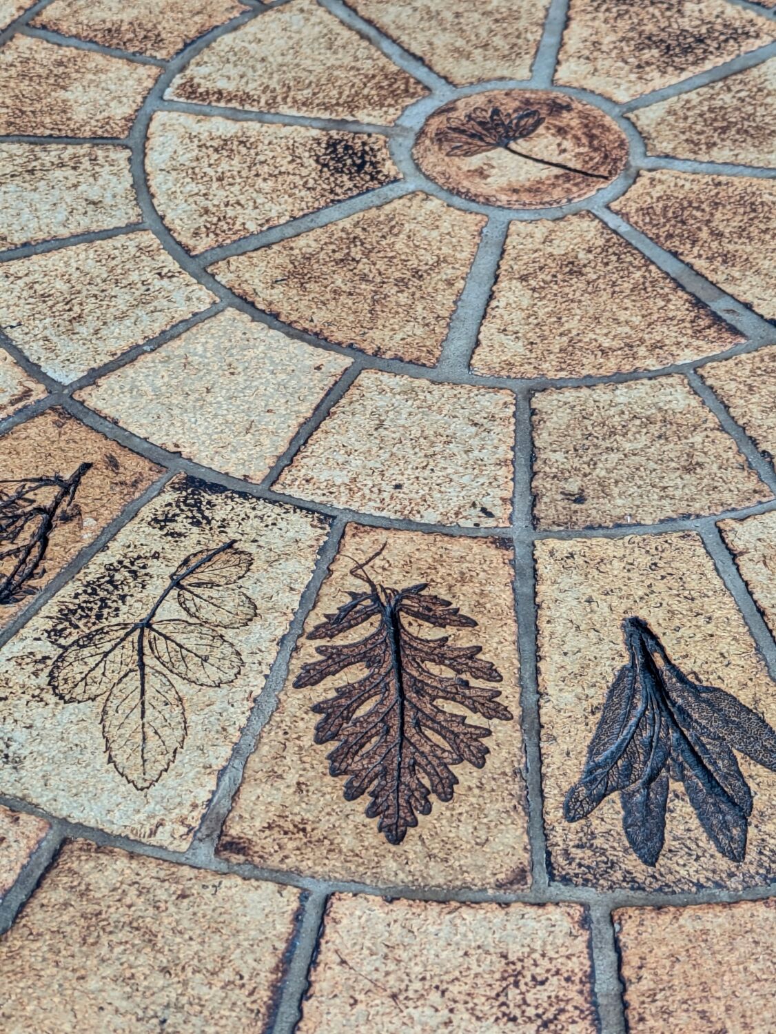 Vintage Herbier coffee table by Roger Capron