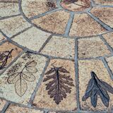 Vintage Herbier coffee table by Roger Capron