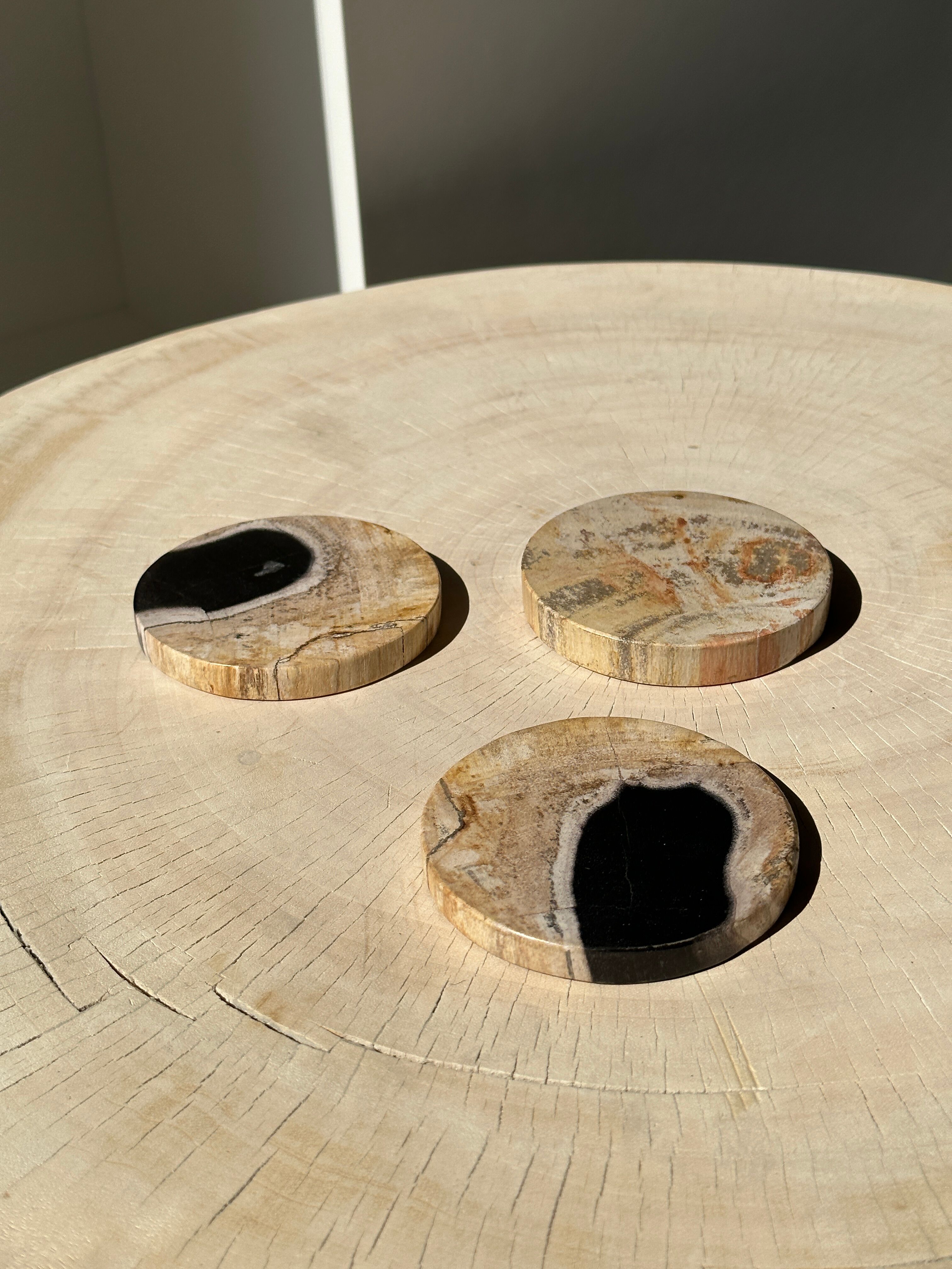 Set of 3 fossilized wooden coasters (clear)