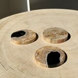 Set of 3 fossilized wooden coasters (clear)