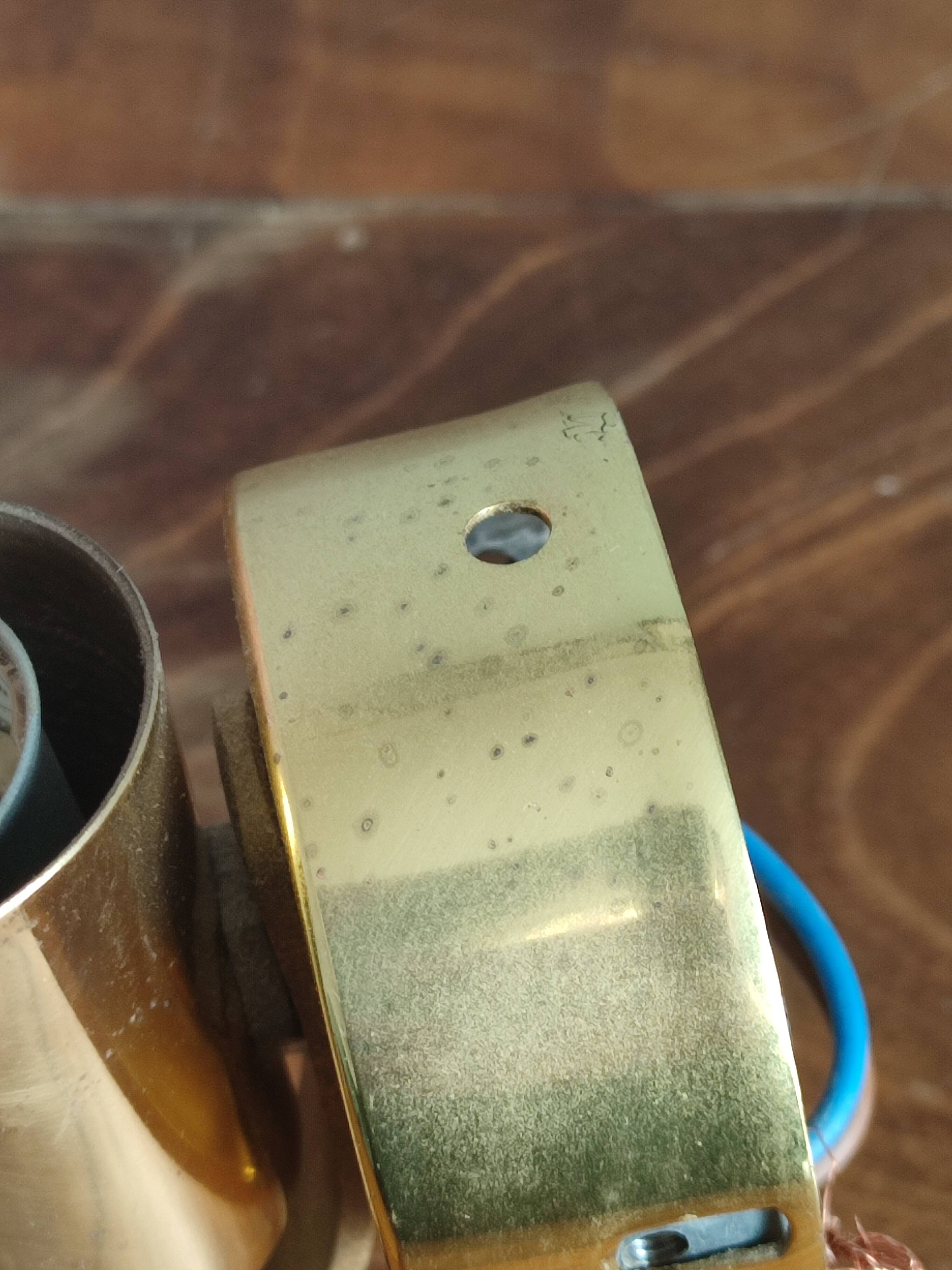 Vintage frosted glass shell wall sconces