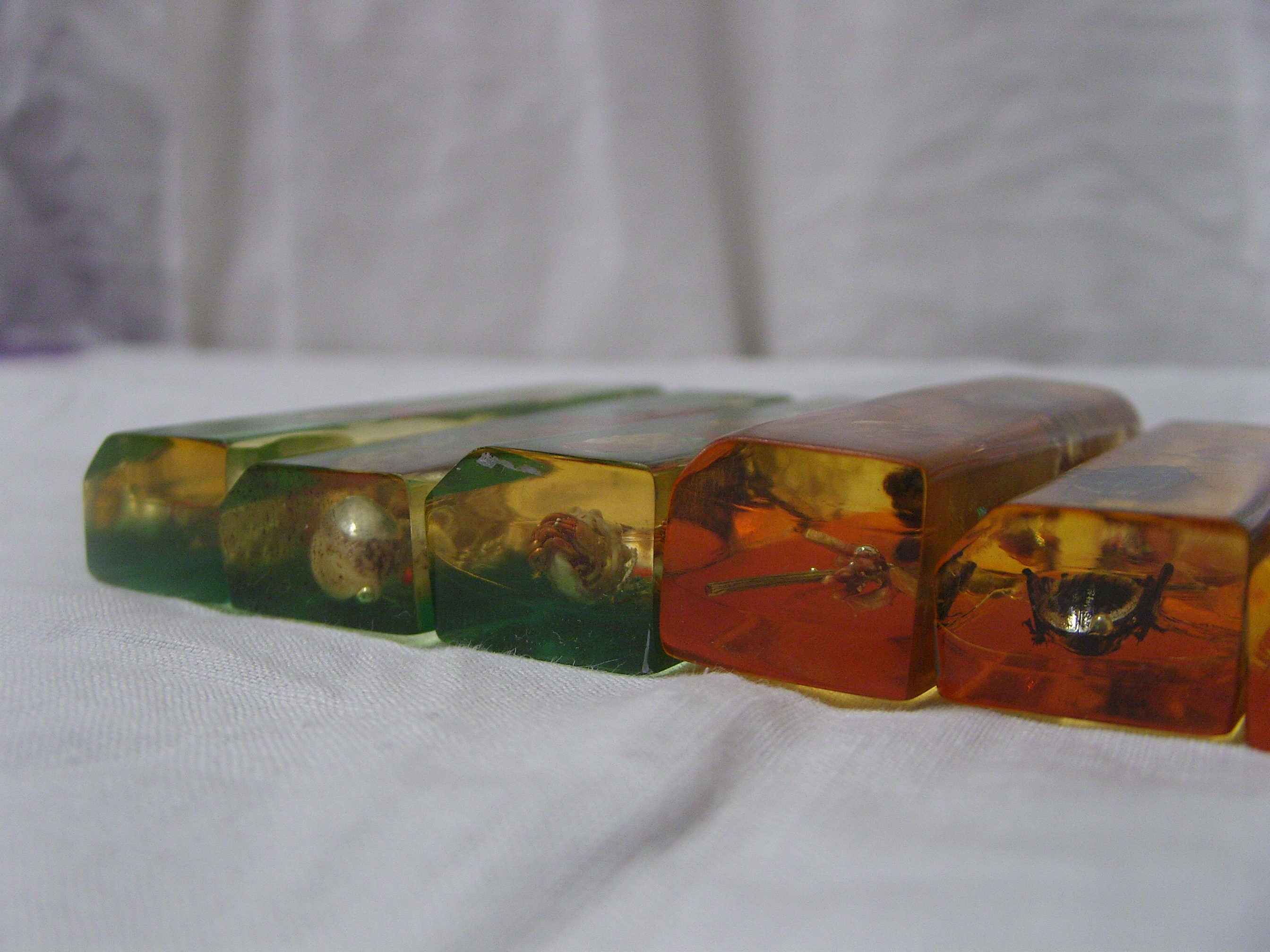 6 knife-wielding vintage insect inclusion