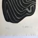 Raoul ubac, the uprooted grass 1, 1975. original etching signed in pencil.