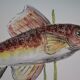 Paulette Quinson (1899-1984) Marseille Fish dish signed 55x26 cm