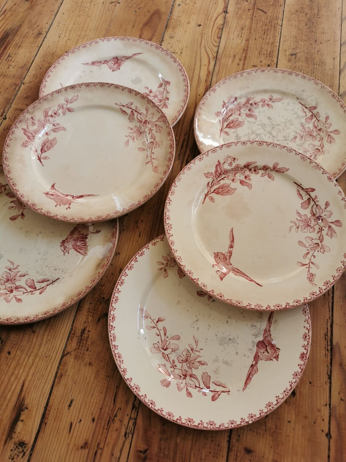 Assiettes anciennes Sarreguemines "Favori"