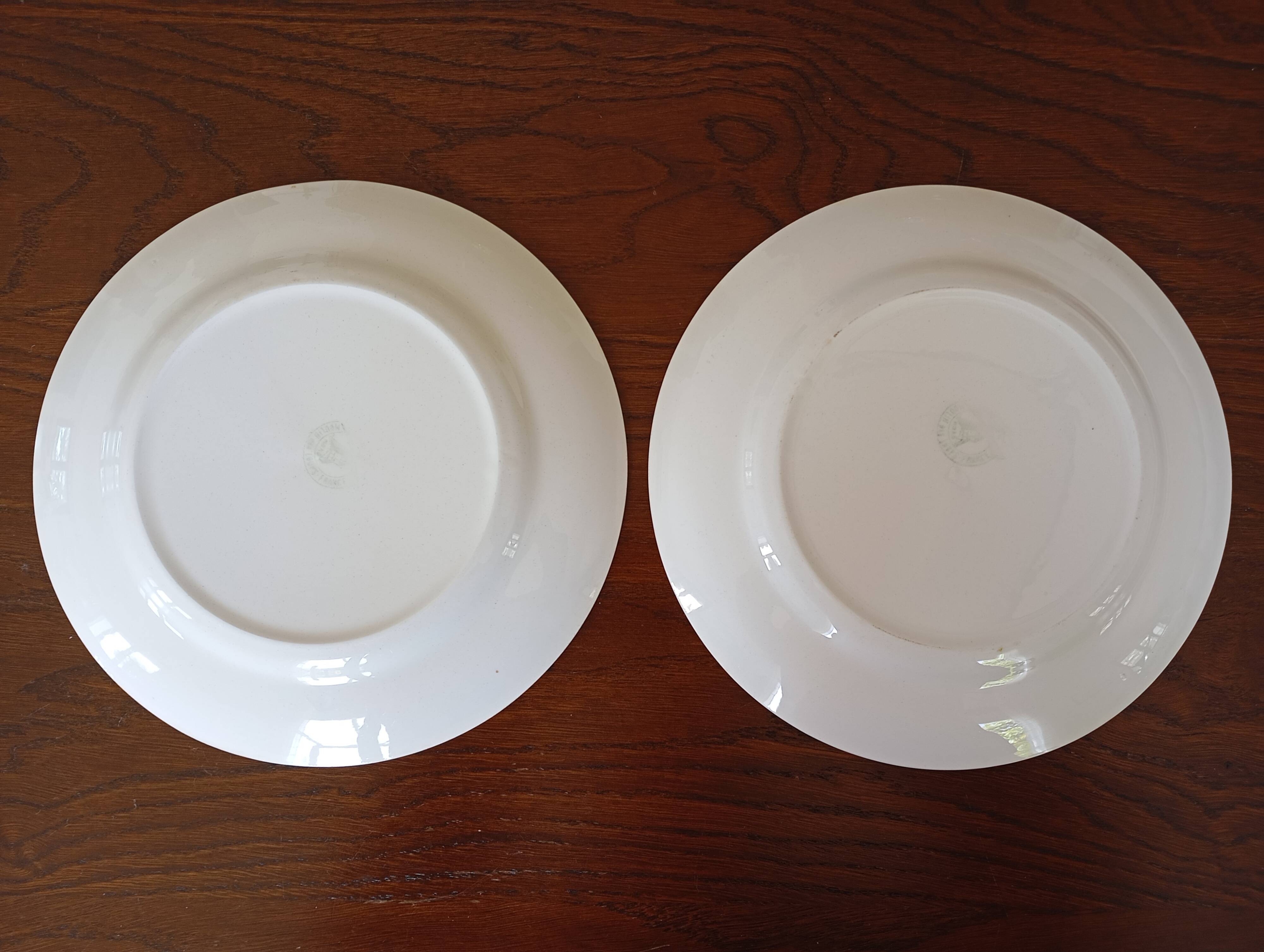 2 Moulin des Loups yellow “Tablecloth” plates