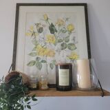 Illustration ancienne encadrée – Roses jaunes – Style botanique – 63x76 cm